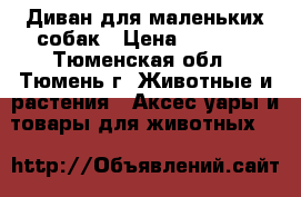 Диван для маленьких собак › Цена ­ 1 500 - Тюменская обл., Тюмень г. Животные и растения » Аксесcуары и товары для животных   